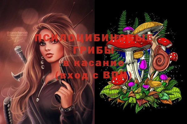 индика Богородицк