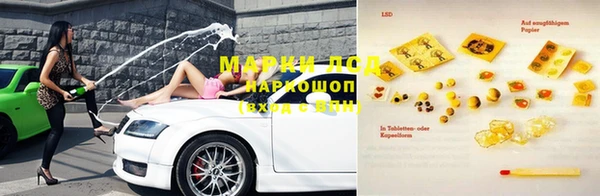 индика Богородицк