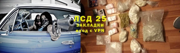 a pvp Богданович