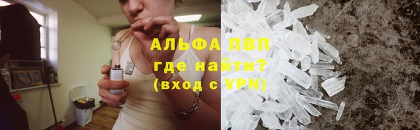 индика Богородицк