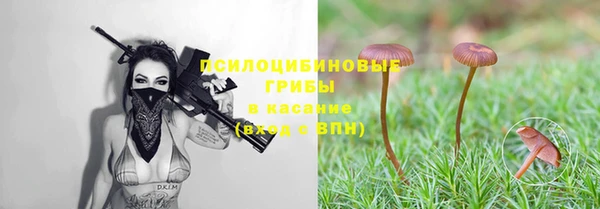 a pvp Богданович