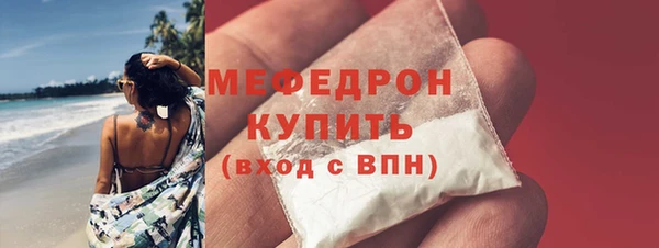 индика Богородицк
