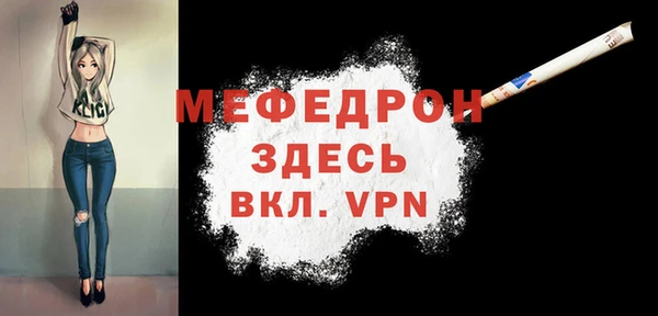 индика Богородицк