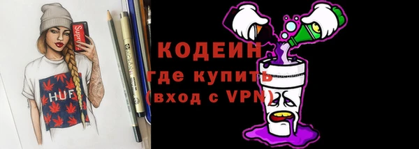 индика Богородицк