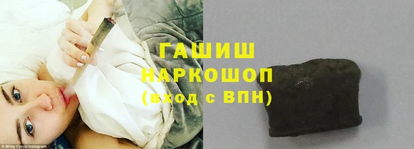 индика Богородицк