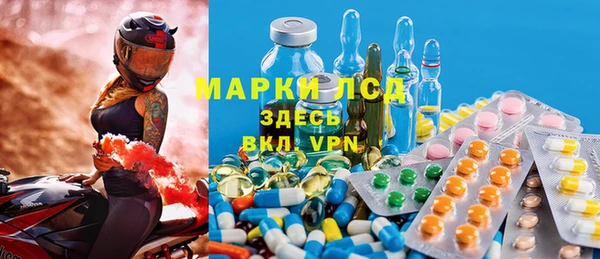 индика Богородицк