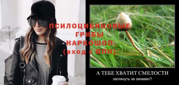 гидропоника Богородск
