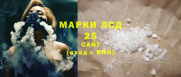 индика Богородицк