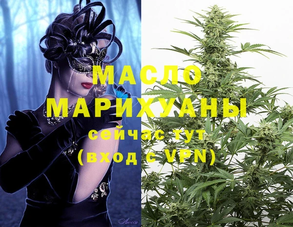 индика Богородицк