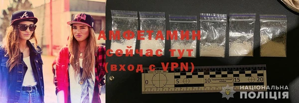 индика Богородицк