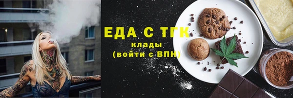 индика Богородицк